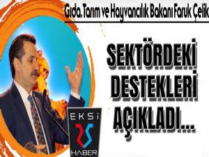 Bakan Çelik, Sektördeki Destekleri Açıkladı