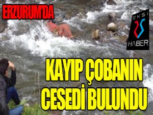 Kayıp çobanın cesedi bulundu...