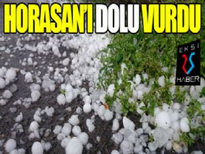 Horasan'ı dolu vurdu...