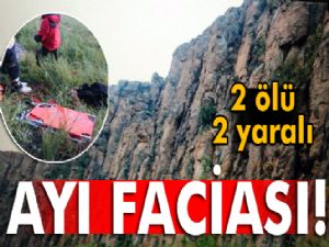 Kars'ta ayı saldırısı: 2 ölü, 2 yaralı