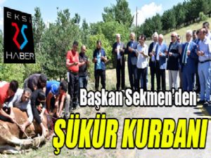 Başkan Sekmen'den şükür kurbanı...