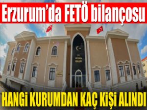 Erzurum'da FETÖ bilançosu... Hangi kurumdan kaç kişi alındı