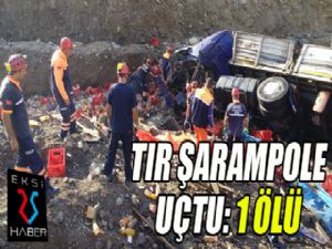 Erzurum'da TIR şarampole devrildi: 1 ölü