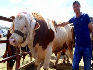 Kurban pazarının en büyüğü o