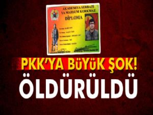 PKK'nın Tendürek sözde bölge sorumlusu öldürüldü