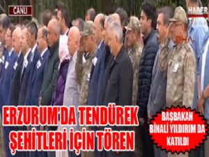 Tendürek şehitleri memleketlerine uğurlandı