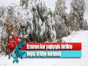 Erzurum kar yağışıyla birlikte beyaz örtüye büründü