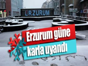 Erzurum güne karla uyandı