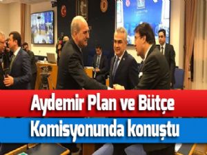 Aydemir Plan ve Bütçe Komisyonunda konuştu