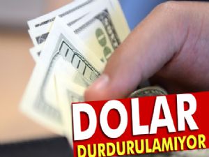 Dolar rekor tazeledi