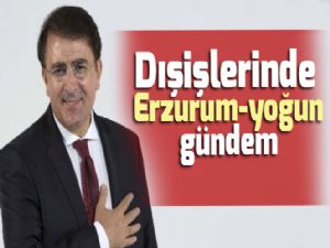 Dışişlerinde Erzurum-yoğun gündem