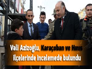 Vali Azizoğlu, Karaçoban ve Hınıs ilçelerinde incelemede bulundu