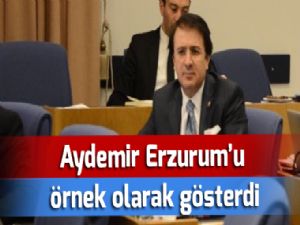  Aydemir Erzurum'u örnek olarak gösterdi