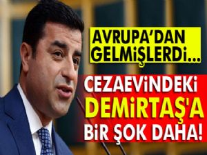 Sosyalistler Demirtaş'la görüşemedi