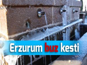 Erzurum buz kesti