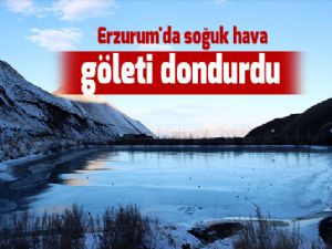  Erzurum'da soğuk hava göleti dondurdu