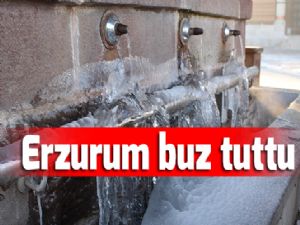 Erzurum buz tuttu