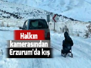 Halkın kamerasından Erzurum'da kış