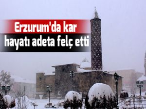 Erzurum'da kar hayatı adeta felç etti