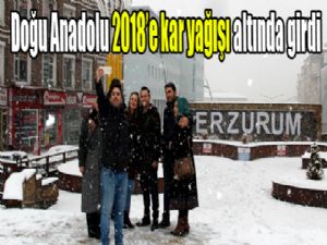 Doğu Anadolu 2018'e kar yağışı altında girdi