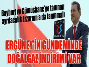 Ergüney'in gündeminde doğalgaz indirimi var..