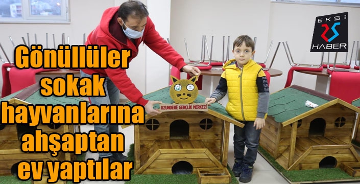 Gönüllüler sokak hayvanlarına ahşaptan ev yaptılar