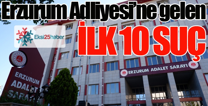 İşte Erzurum Adliyesi'ne gelen en çok 10 suç