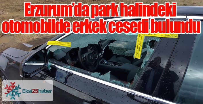 Park halindeki otomobilde erkek cesedi bulundu