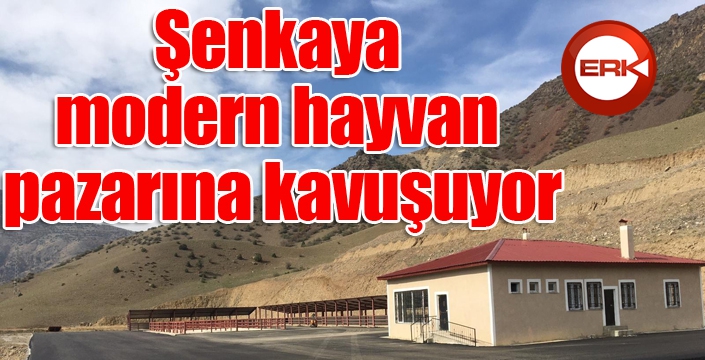 Şenkaya modern hayvan pazarına kavuşuyor