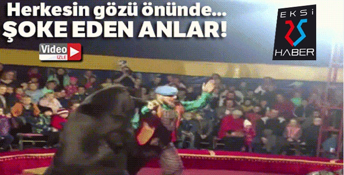 Sirkte gösteri yapan ayı, terbiyecisine saldırdı